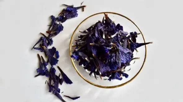 داروی گیاهی برای کاهش عصبانیت و افزایش آرامش