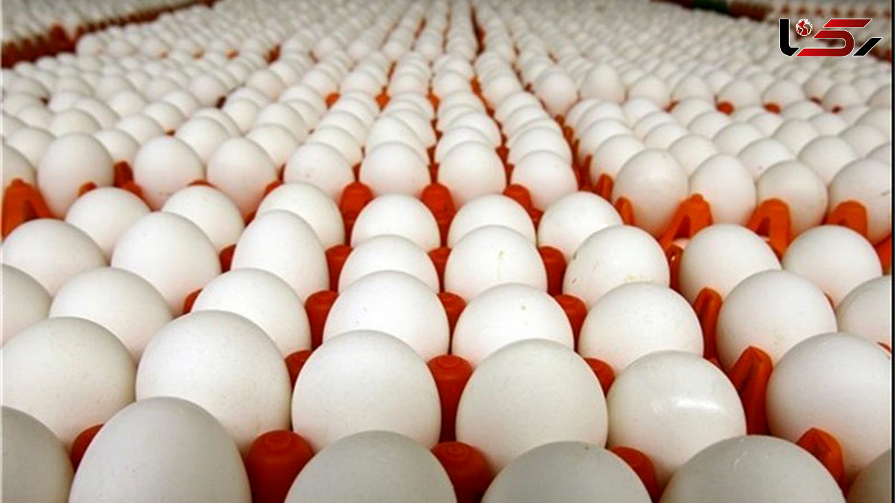 تخم‌مرغ در صدر قیمت‌ کالاهای خوراکی