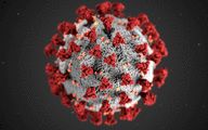 COVID-19 Kills A 5th of Cancer Patients Who Contract Virus 