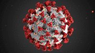 COVID-19 Kills A 5th of Cancer Patients Who Contract Virus 