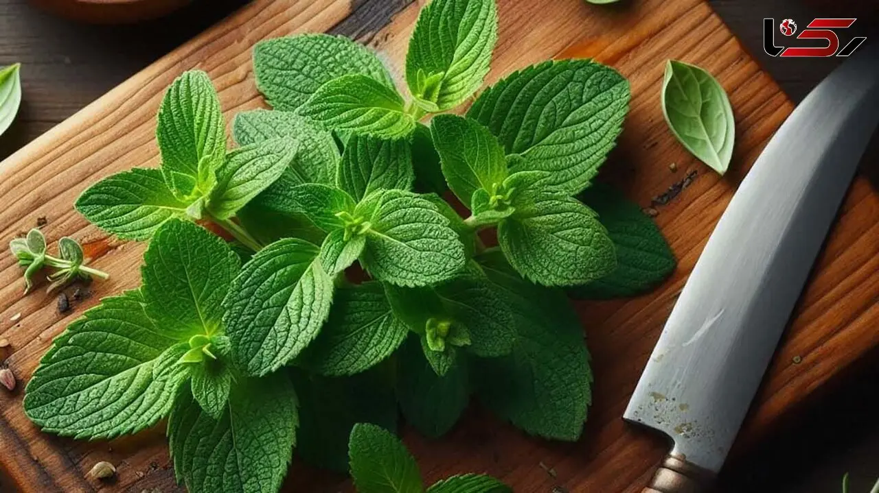 طرز تهیه دمنوش پونه + خواص پونه