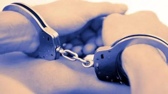  دستگیری دزد میلیاردی خانه های  ویلایی در کرمان