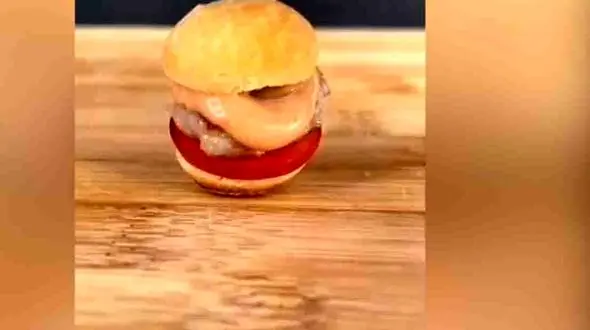 از این همبرگر کوچکتر نداریم + فیلم