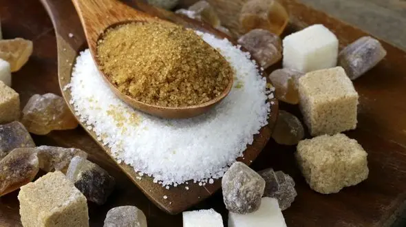 خوشمزه ای که مغز را مسموم می کند