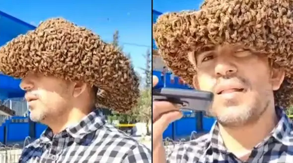 ببینید / زندگی عجیب یک مرد با هزاران زنبور عسل روی سرش + فیلم