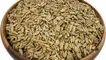 طرز تهیه تخمه بوداده خانگی