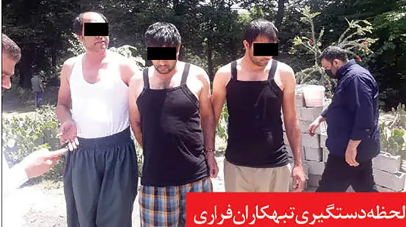 عکس های عجیب از مخفیگاه جنگلی 3 تبهکار خطرناک در گلستان / راز غازهای نگهبان چه بود + فیلم