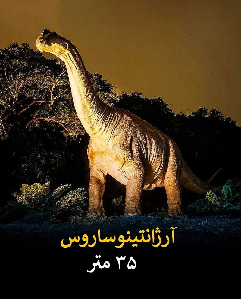 شکوه طبیعت و حیات بر روی زمین