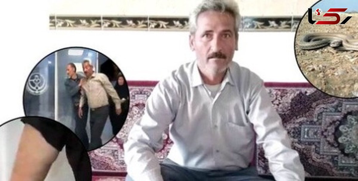 فیلم مصاحبه خنده دار با  عسگر آقا که طعمه مارهای روستا شد / مار ها از جان  این مرد چه می خواهند!