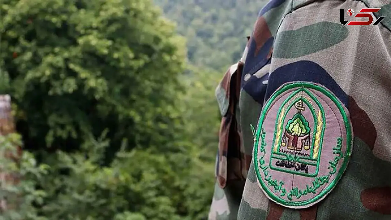 متخلفان منابع طبیعی در کرمانشاه بازداشت شدند
