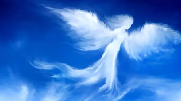 روانشناسی شخصیت / نشانه های وجود فرشته نگهبان در زندگی ات