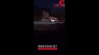 مزاحمت سگ‌های ولگرد در شهریار + فیلم