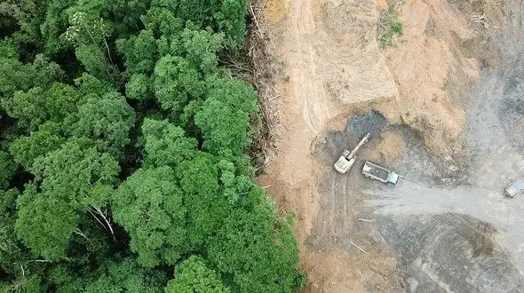 گسترش کوه و جنگل‌خواری در شمال کشور/ پرداخت هزینه کارشناسی عامل بی‌رغبتی منابع طبیعی در اعلام گزارش ساخت و سازهای غیرمجاز!