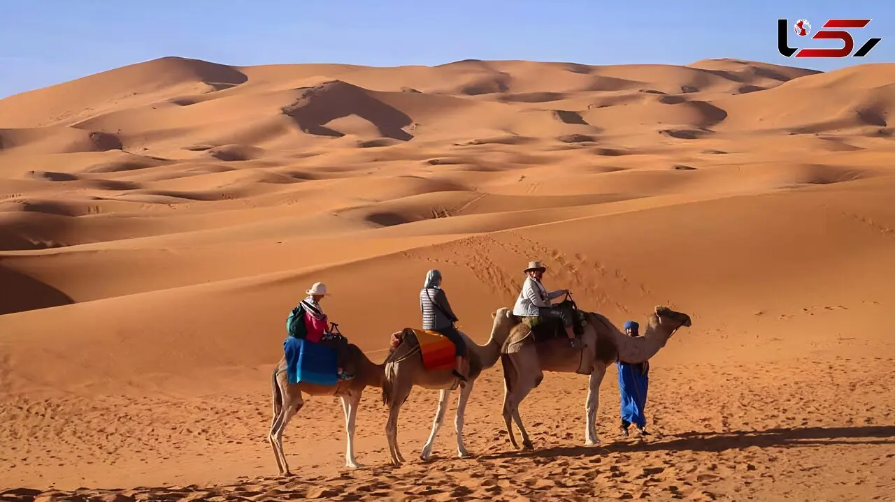 راهنمای سفر به کویر مصر؛ آدرس، بهترین زمان، تفریحات و اقامت