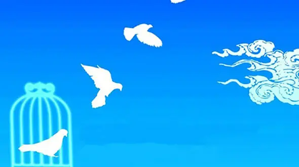 درگیری ۶ کودک قزوینی به خیر گذشت 