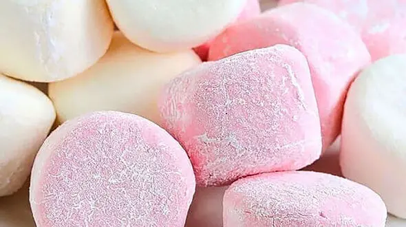 مارشمالو نارگیلی یک خوراکی خوشمزه برای کودکان 