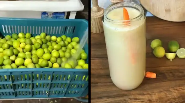 ترفند تلخ نشدن آبلیمو + فیلم