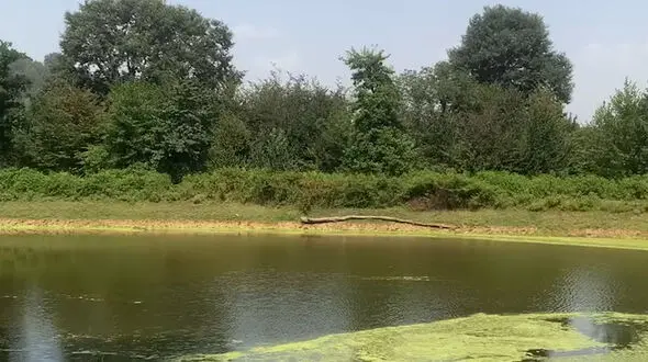 از  طبیعت ذاکله‌بر زیبا تا جاذبه‌ طبیعی فوق‌العاده
