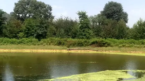 از  طبیعت ذاکله‌بر زیبا تا جاذبه‌ طبیعی فوق‌العاده