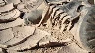 کشف پیکر مطهر یک شهید در منطقه قلاویزان مهران