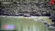 مار پیتون شکارچی قهار آهو در حاشیه رودخانه + فیلم