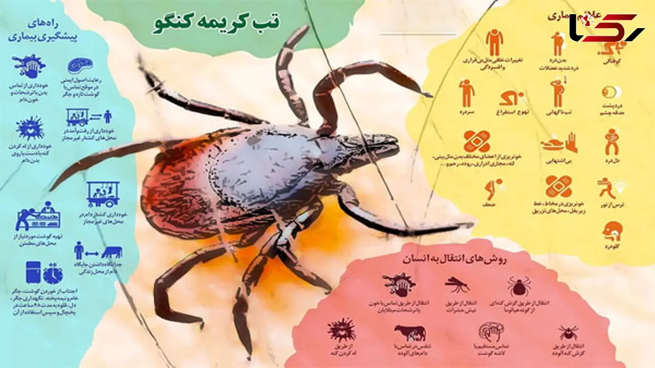 تب کریمه کنگو در کمین مردم ایران