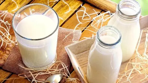 باورهای نادرست درباره شیر؛ حقیقتی که شما را شوکه می‌ کند