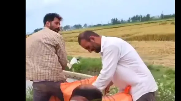 خلاقیت کشاورز آملی سنگین وزن در جابجایی سه کیسه برنج 100 کیلویی در 20 ثانیه حماسه ساز شد/ استعداد حضور در مردان آهنین رو داره +فیلم