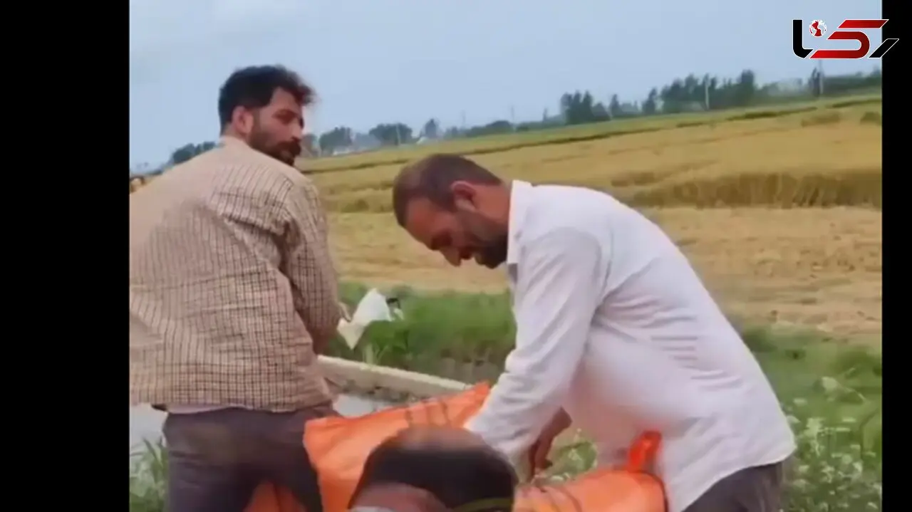 خلاقیت کشاورز آملی سنگین وزن در جابجایی سه کیسه برنج 100 کیلویی در 20 ثانیه حماسه ساز شد/ استعداد حضور در مردان آهنین رو داره +فیلم