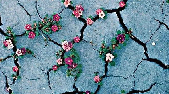 فال و طالع بینی امروز 26 مرداد + فیلم 