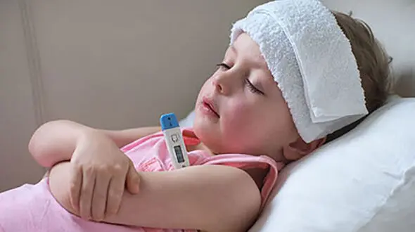 این خوراکی ها قاتل تب هستند 