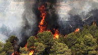 مهار آتش سوزی در جنگل‌های چلاو آمل