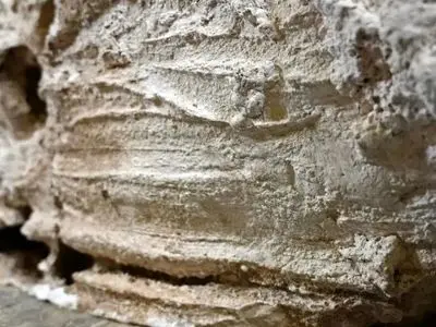 لمس مرگ؛ سرنخ‌ هایی از تماس زندگان با مردگان 18 قرن پیش