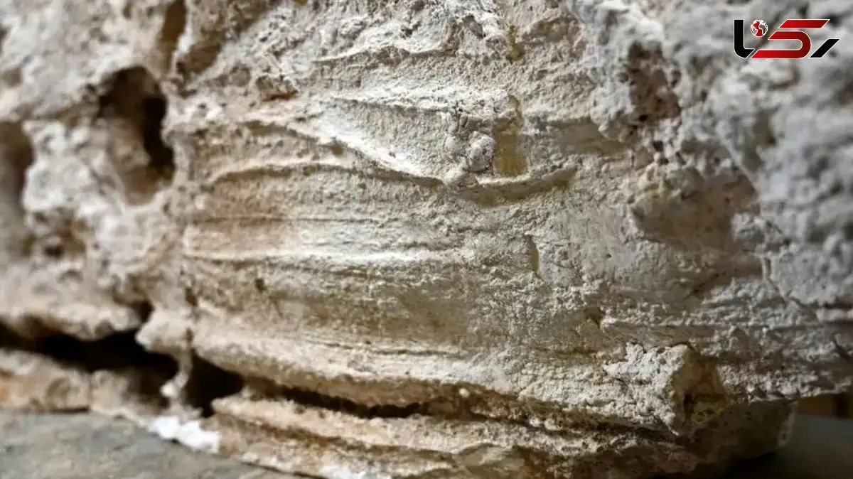 لمس مرگ؛ سرنخ‌ هایی از تماس زندگان با مردگان 18 قرن پیش