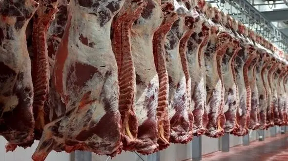 قیمت انواع گوشت گوساله و گوسفندی آزاد اعلام شد