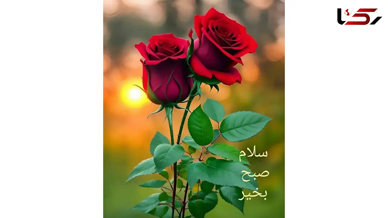 تعبیر فال ابجد 6 دی