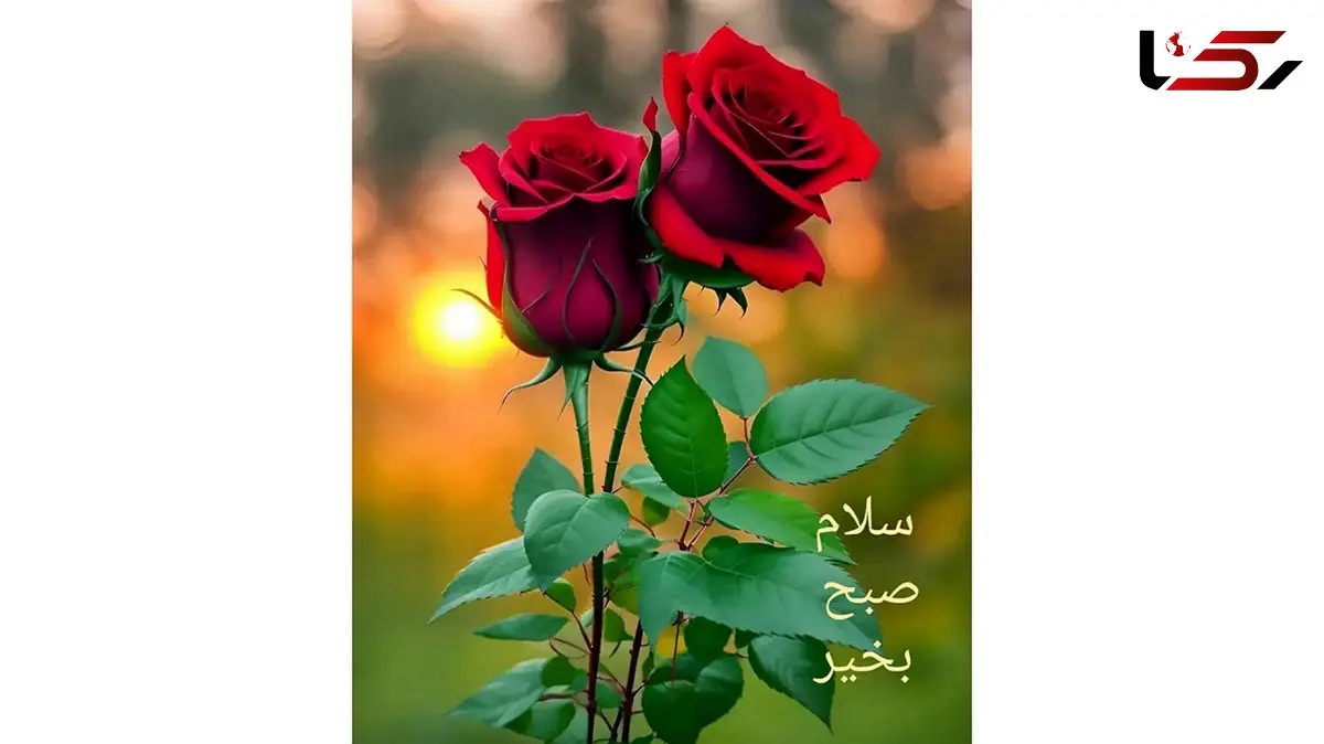 تعبیر فال ابجد 6 دی