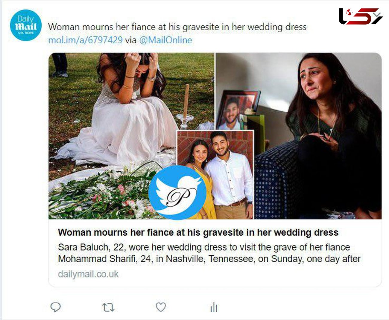 عکس / گریه‌های دختر ایرانی با لباس عروس در آمریکا / مرد وحشی داماد را کشت 