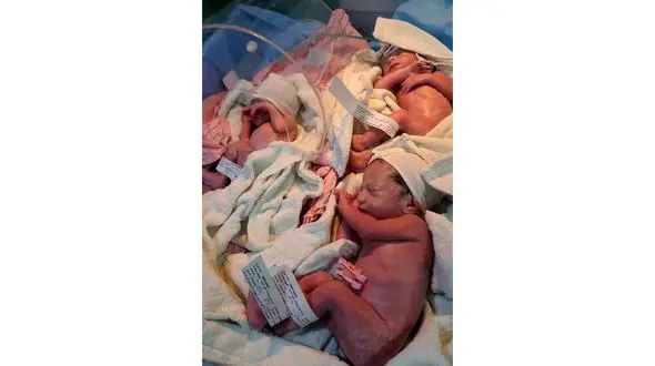 خوشامدگویی به 3 فرشته زیبا در تربت حیدریه + عکس