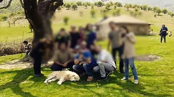 بازداشت دختران و پسران در تور مختلط دریاچه شیهون  دزفول + عکس