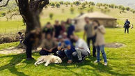 بازداشت دختران و پسران در تور مختلط دریاچه شیهون  دزفول + عکس