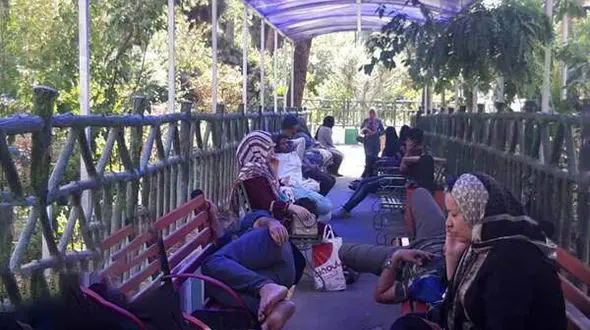 این پل هوایی در تهران راز دردناکی دارد! +عکس و فیلم