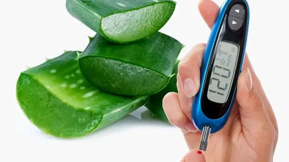 توصیه های طب سنتی به بیماران دیابتی