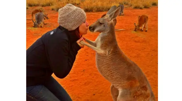 عادت های احساسی و جالب کانگورو یتیم+عکس