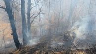آتش سوزی 3 هکتار از جنگل های سوادکوه 