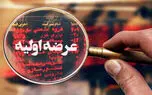عرضه اولیه آکو باتری ایرانیان چهارشنبه انجام می‌شود + جزئیات