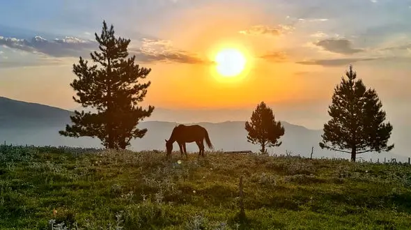 زیباترین ییلاق شمال کشور + عکس و فیلم