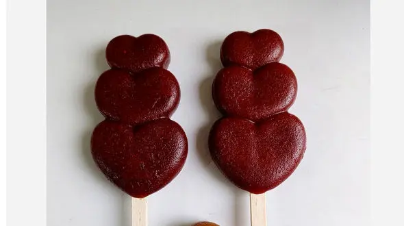 طرز تهیه بستنی لواشکی 