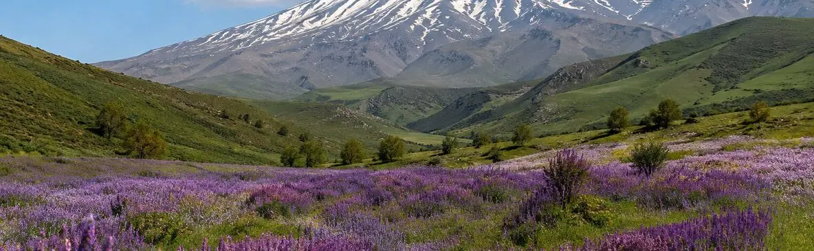 دشت زیبای گون؛ یکی از خاص‌ ترین منظره‌ های دامنه دماوند + فیلم