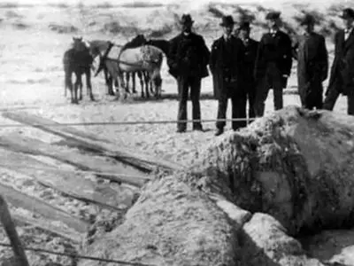 افشاگری درباره هیولاهای دریایی مرموز و حضورشان در سواحل / عکس